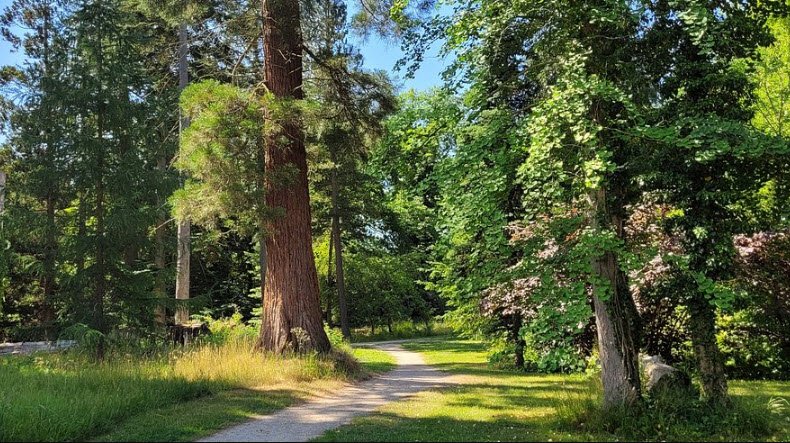 Forstbotanisk Have, Denmark